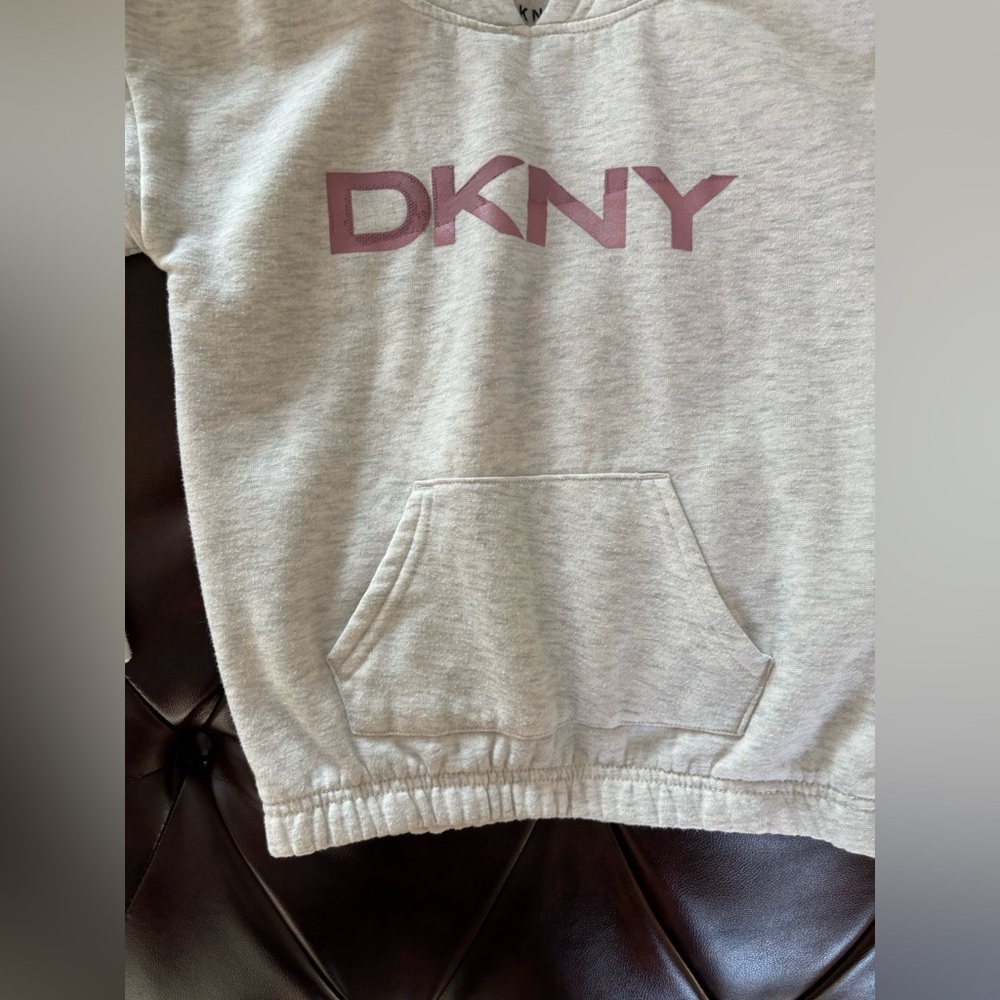 DKNY Kids Light Gray Hoodie with Maroon Logo - Picture 3 of 7